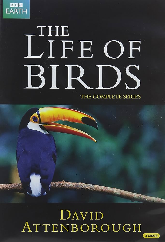その他 Life of Birds [VHS] hqdefault.jpg